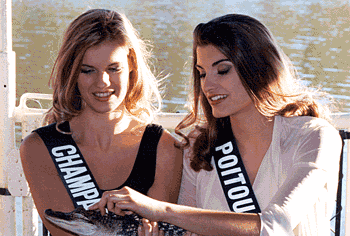 dreamboat2.gif 350x236