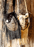 turtlepurse.gif 148x200