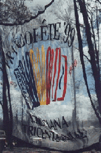 big_flag.gif 199x300