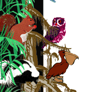 transparenttop1.gif 200x286